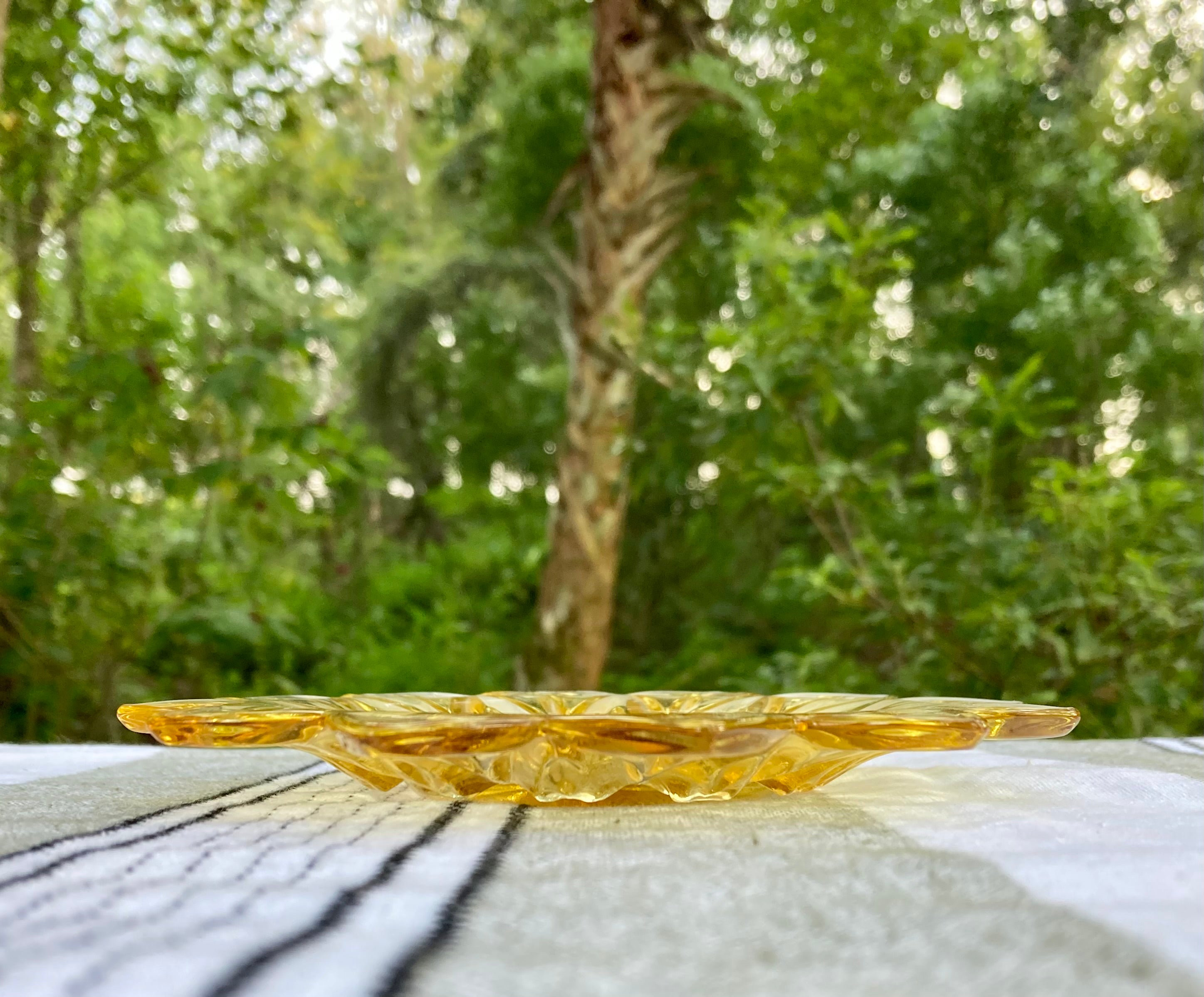 12 Point Sunflower Yellow Amber Glass Plate outlet Set!