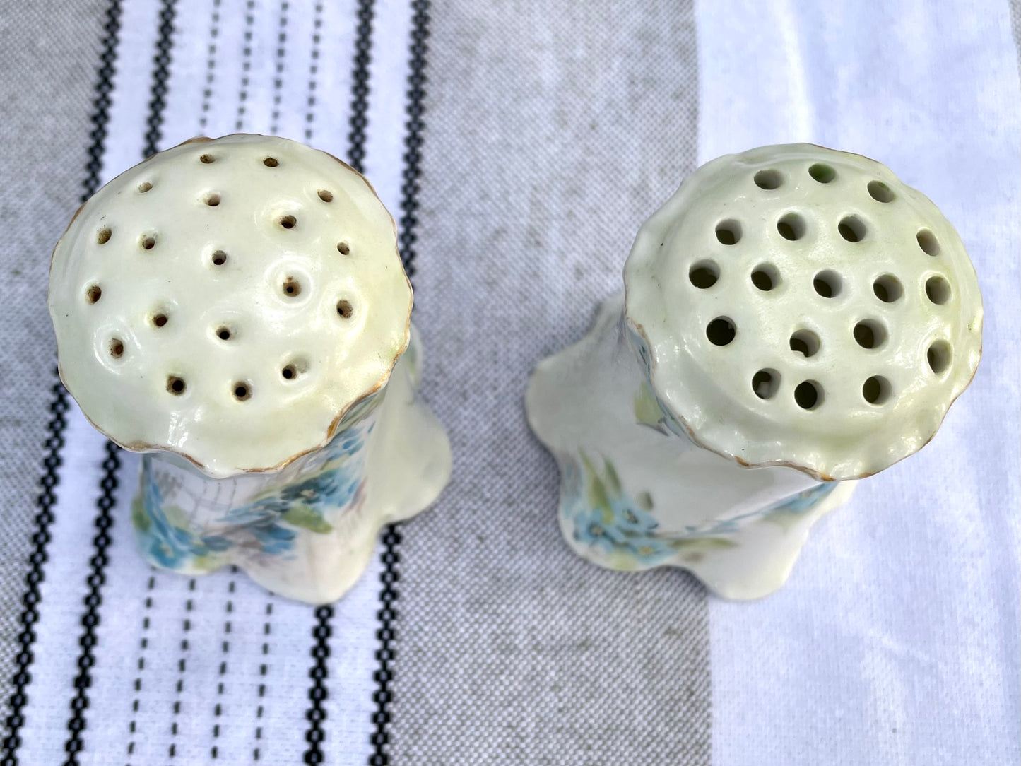 RC Rosenthal Versailles Bavaria China White Ceramic Salt and Pepper Shakers with Blue Daisies and Gold Trim