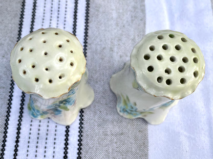 RC Rosenthal Versailles Bavaria China White Ceramic Salt and Pepper Shakers with Blue Daisies and Gold Trim